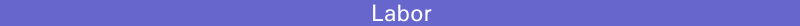 Labor